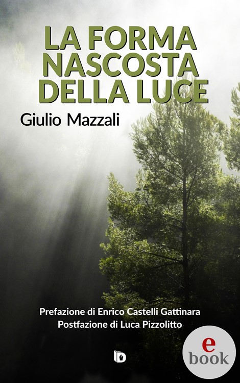 Giulio Mazzali – La forma nascosta della luce (2022)