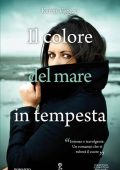 Karen Viggers - Il colore del mare in tempesta (2012)