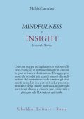 Mahasi Sayadaw - Mindfullness e insight (2021)