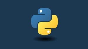 Udemy – Impara Le Basi Della Programmazione Con Python – ITA
