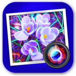 img [PORTABLE] JixiPix Spektrel Art 1.1.12 Portable - ENG