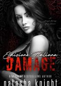 Natasha Knight - Damage (Collateral Damage Series Book 2) (2022)