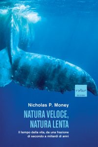 Nicholas P. Money – Natura veloce, natura lenta (2022)
