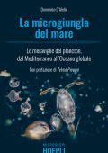 Domenico D'Alelio - La microgiungla del mare (2020)