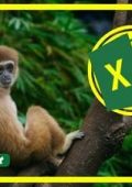 Udemy - Corso di Excel e VBA: Codici a Barre e Automazione - ITA