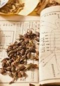 Udemy - Elementi Base Di Medicina Tradizionale Cinese - ITA