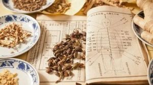 Udemy – Elementi Base Di Medicina Tradizionale Cinese – ITA