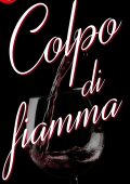 Jamie Denton - A qualcuno piace caldo Vol. 3. Colpo di fiamma (2016)