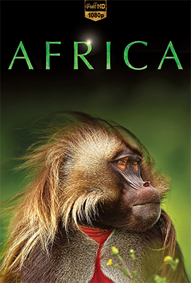 David Attenborough – Africa (2013) [Completa] DLMux 1080p E-AC3+AC3 ITA