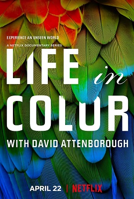 David Attenborough – La vita a colori (2021) [Completa] DLMux 2160p DVHDR10 E-AC3+AC3 ITA ENG SUBS