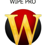 img Wipe Professional v2023.00 - ITA