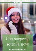 Kandy Shepherd - Harrington Park Hotel Vol. 2. Una sorpresa sotto la neve (2022)