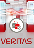 Veritas NetBackup v10.1.1 WinPE - ENG