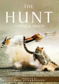 img David Attenborough - La caccia - Stagione 1 (2015) [Completa] DLMux 1080p E-AC3+AC3 ITA