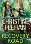 Christine Feehan - Recovery Road (2023) ENG