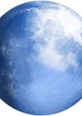PaleMoon v32.0.1
