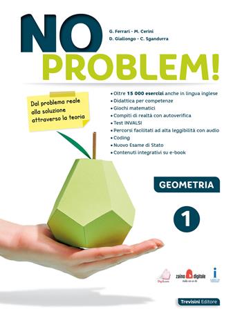 Giuseppe Ferrari, Maria Angela Cerini, Donatella Giallongo – No problem! Geometria. Vol. 1  (2020) PDF