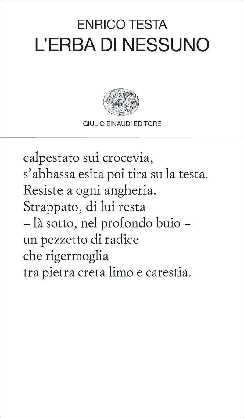 Enrico Testa – L’erba di nessuno (2023)