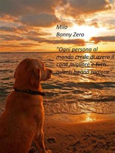 Bonny Zero – Milo (2018)