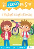 Roberta Zilio - Il mistero delle ruote bucate (2017)