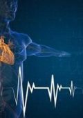 Udemy - Fisiologia Cardiovascolare: Un Corso Essenziale - ITA