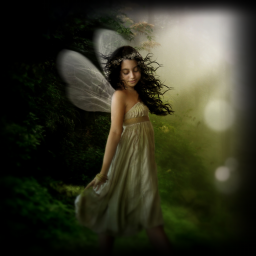 Autofx Mystical Suite StandAlone & Plugin v2.0 for Adobe Photoshop – Eng