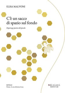 Elisa Malvoni – C’è Un Sacco di Spazio Sul Fondo. Reportage Poetico del Piccolo (2023)