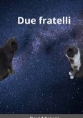 David Sciuga - Due fratelli (2023)