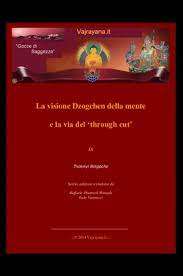 Tsoknyi Rinpoche – La visione Dzogchen della mente (2014)