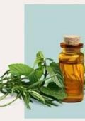 Udemy - Oli Essenziali: Proprietà E Utilizzi - ITA