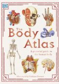 The Body Atlas: A Pictorial Guide to the Human Body (DK Pictorial Atlases) [ENG]