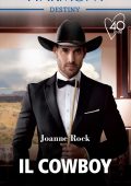 Joanne Rock - Mesa Falls Vol. 5. Il cowboy (2021)