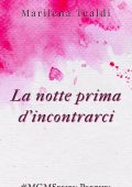 Marilena Tealdi - MGMSeries Prequel. La notte prima d'incontrarci (2023)