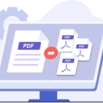 img Coolmuster PDF Splitter 2.4.7 - ENG