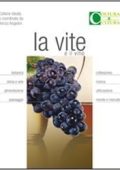 Attilio Scienza, Osvaldo Failla, Stefano Raimondi  - La vite e il vino (2009) PDF
