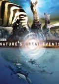 img Gli spettacolari fenomeni della natura - Stagione 1 (2020) [Completa] DLMux 1080p E-AC3+AC3 ITA