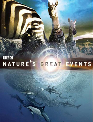 Gli spettacolari fenomeni della natura – Stagione 1 (2020) [Completa] DLMux 1080p E-AC3+AC3 ITA