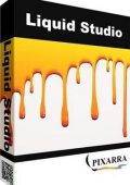 Pixarra TwistedBrush Liquid Studio v5.04 - ENG