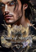 Ella Kintsugi - Nephilim Knights Vol. 14,5. Souls of Angels: L'essenza degli Angeli (2023)