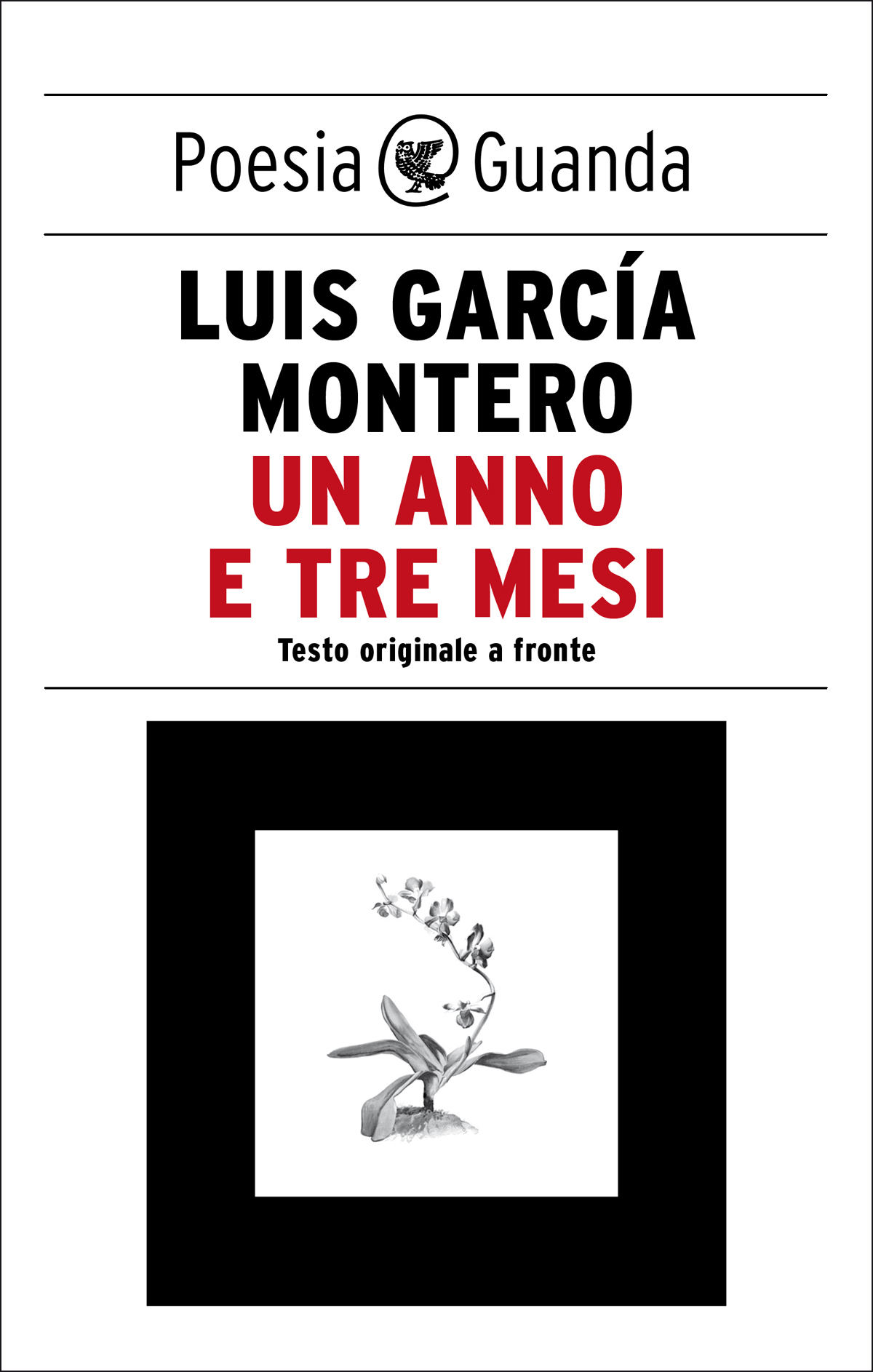 Luis Garcia Montero – Un anno e tre mesi (2023)