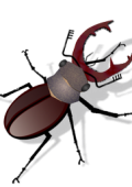 abylon UAC-GRABBER 2023.2 - Eng