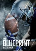 S.E. Harmon - Rules of possession Vol. 1. The Blueprint (2023)