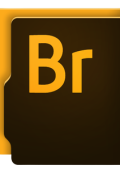Adobe Bridge 2024 v14.0.2.191 64 Bit - ITA