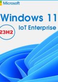 Windows 11 IoT Enterprise 23H2 Build 22631.2506 64 Bit Pre-attivato – ITA