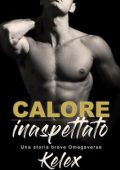 Kelex - Calore inaspettato: Un sequel di Omega in affitto (2023)