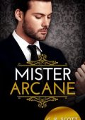 C. R. Scott - Romanticismo d'ufficio 11. Mister Arcane (2023)