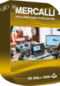 proDAD Mercalli V6 SAL 6.0.629.1 64 Bit - ITA