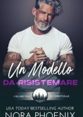 Nora Phoenix - I silver fox di Forestville Vol. 1. Un modello da risistemare (2023)