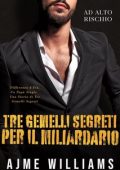 Ajme Williams - High Stakes Vol. 3. Tre Gemelli Segreti per il Miliardario (2023)