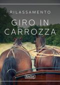Rasmus Broe - Rilassamento꞉ Giro in carrozza (2023) (mp3 - 128 kbps)
